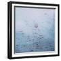 Lotus, 2011-Luke Elwes-Framed Giclee Print