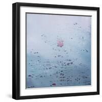 Lotus, 2011-Luke Elwes-Framed Giclee Print