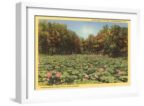 Lotus Beds, Parkersburg, West Virginia-null-Framed Art Print