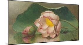 Lotus Blossom-Martin Johnson Heade-Mounted Art Print