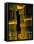 Lotus Columns of the Luxor Temple, Egypt-Claudia Adams-Framed Stretched Canvas