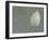 Lotus Detail VI-Jim Christensen-Framed Photographic Print