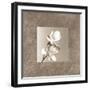 Lotus Duet-Claire Beaumont-Framed Art Print