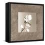 Lotus Duet-Claire Beaumont-Framed Stretched Canvas