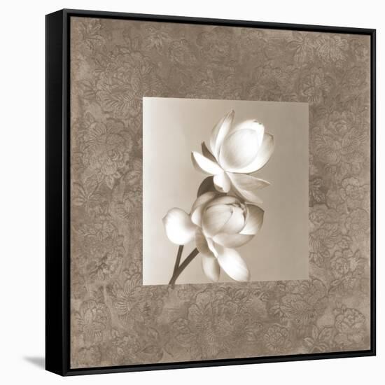 Lotus Duet-Claire Beaumont-Framed Stretched Canvas