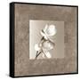 Lotus Duet-Claire Beaumont-Framed Stretched Canvas