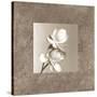 Lotus Duet-Claire Beaumont-Stretched Canvas
