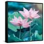 Lotus Flower Blooming in Summer Pond with Green Leaves as Background-kenny001-Framed Stretched Canvas