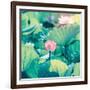 Lotus Flower Blooming in Summer Pond with Green Leaves as Background-kenny001-Framed Photographic Print