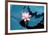 Lotus Flower Blooming on Pond-Wu Kailiang-Framed Photographic Print