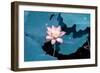 Lotus Flower Blooming on Pond-Wu Kailiang-Framed Photographic Print