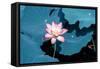 Lotus Flower Blooming on Pond-Wu Kailiang-Framed Stretched Canvas