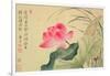 Lotus Flower, by Yun Shou-P'Ing (1633-90), from an 'Album of Flowers', (W/C on Silk Backed Paper)-Yun Shouping-Framed Giclee Print