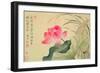 Lotus Flower, by Yun Shou-P'Ing (1633-90), from an 'Album of Flowers', (W/C on Silk Backed Paper)-Yun Shouping-Framed Premium Giclee Print