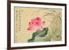 Lotus Flower, by Yun Shou-P'Ing (1633-90), from an 'Album of Flowers', (W/C on Silk Backed Paper)-Yun Shouping-Framed Giclee Print