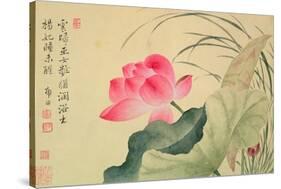 Lotus Flower, by Yun Shou-P'Ing (1633-90), from an 'Album of Flowers', (W/C on Silk Backed Paper)-Yun Shouping-Stretched Canvas