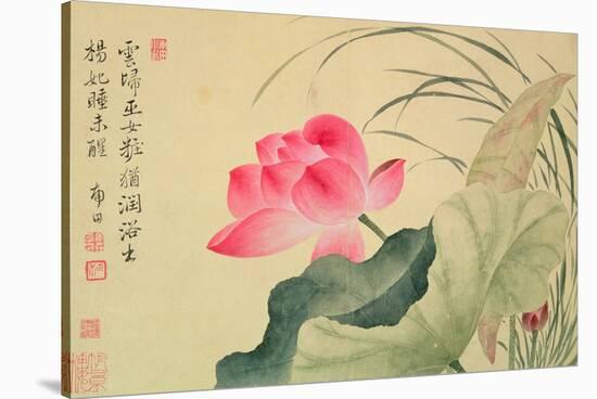 Lotus Flower, by Yun Shou-P'Ing (1633-90), from an 'Album of Flowers', (W/C on Silk Backed Paper)-Yun Shouping-Stretched Canvas