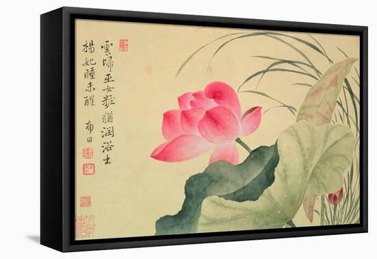 Lotus Flower, by Yun Shou-P'Ing (1633-90), from an 'Album of Flowers', (W/C on Silk Backed Paper)-Yun Shouping-Framed Stretched Canvas