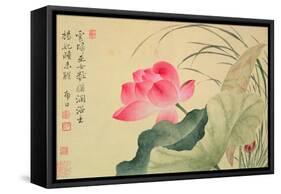 Lotus Flower, by Yun Shou-P'Ing (1633-90), from an 'Album of Flowers', (W/C on Silk Backed Paper)-Yun Shouping-Framed Stretched Canvas