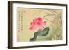 Lotus Flower, by Yun Shou-P'Ing (1633-90), from an 'Album of Flowers', (W/C on Silk Backed Paper)-Yun Shouping-Framed Giclee Print