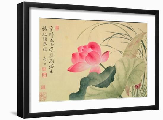 Lotus Flower, by Yun Shou-P'Ing (1633-90), from an 'Album of Flowers', (W/C on Silk Backed Paper)-Yun Shouping-Framed Giclee Print