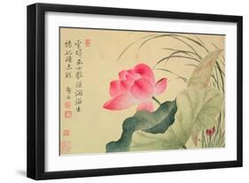 Lotus Flower, by Yun Shou-P'Ing (1633-90), from an 'Album of Flowers', (W/C on Silk Backed Paper)-Yun Shouping-Framed Giclee Print