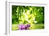 Lotus Flower Floating on Water in a Forest-Liang Zhang-Framed Photographic Print