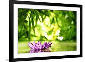 Lotus Flower Floating on Water in a Forest-Liang Zhang-Framed Photographic Print