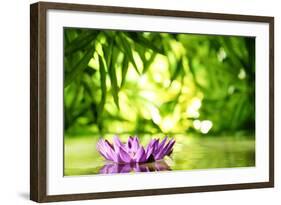 Lotus Flower Floating on Water in a Forest-Liang Zhang-Framed Photographic Print