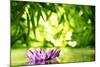 Lotus Flower Floating on Water in a Forest-Liang Zhang-Mounted Photographic Print