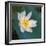 Lotus flower, Guangxi Province, China-Keren Su-Framed Photographic Print