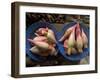 Lotus Flower Hearts in the Vegetable Market, Mulu, Sarawakn Borneo-Annie Owen-Framed Photographic Print