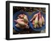 Lotus Flower Hearts in the Vegetable Market, Mulu, Sarawakn Borneo-Annie Owen-Framed Photographic Print