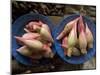 Lotus Flower Hearts in the Vegetable Market, Mulu, Sarawakn Borneo-Annie Owen-Mounted Photographic Print