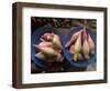 Lotus Flower Hearts in the Vegetable Market, Mulu, Sarawakn Borneo-Annie Owen-Framed Photographic Print