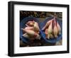 Lotus Flower Hearts in the Vegetable Market, Mulu, Sarawakn Borneo-Annie Owen-Framed Photographic Print