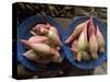 Lotus Flower Hearts in the Vegetable Market, Mulu, Sarawakn Borneo-Annie Owen-Stretched Canvas