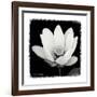 Lotus Flower I-Debra Van Swearingen-Framed Art Print