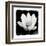 Lotus Flower I-Debra Van Swearingen-Framed Art Print