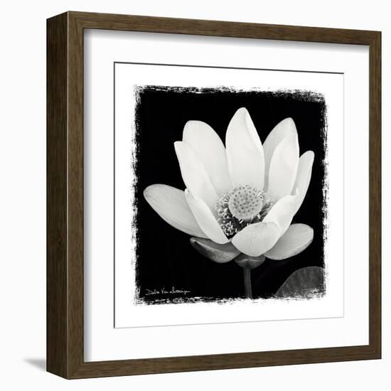 Lotus Flower I-Debra Van Swearingen-Framed Art Print