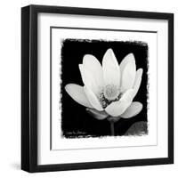 Lotus Flower I-Debra Van Swearingen-Framed Art Print