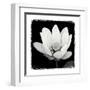 Lotus Flower I-Debra Van Swearingen-Framed Art Print