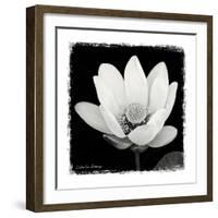 Lotus Flower I-Debra Van Swearingen-Framed Art Print