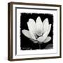 Lotus Flower I-Debra Van Swearingen-Framed Art Print