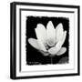 Lotus Flower I-Debra Van Swearingen-Framed Art Print