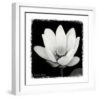 Lotus Flower I-Debra Van Swearingen-Framed Art Print