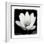 Lotus Flower I-Debra Van Swearingen-Framed Art Print