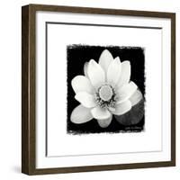 Lotus Flower II-Debra Van Swearingen-Framed Art Print