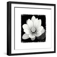 Lotus Flower II-Debra Van Swearingen-Framed Art Print