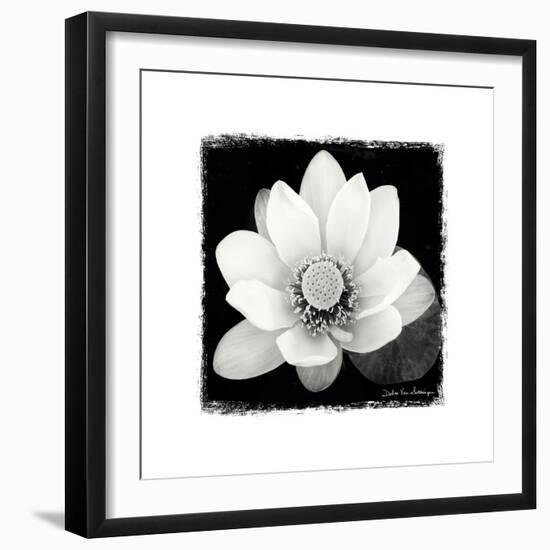 Lotus Flower II-Debra Van Swearingen-Framed Art Print